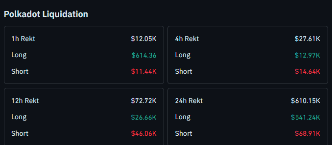 Polkadot liquidation Data