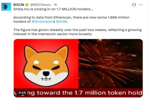 Market Sentiment for Shiba Inu