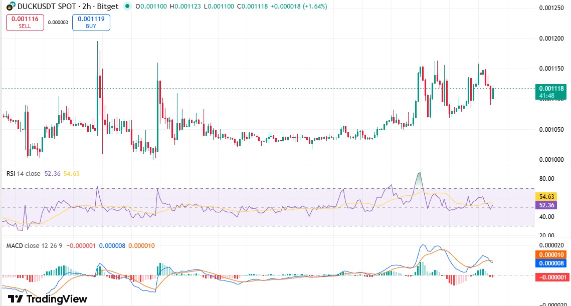 Duckchain Price Jump Analysis