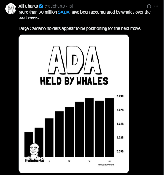 ada latest news