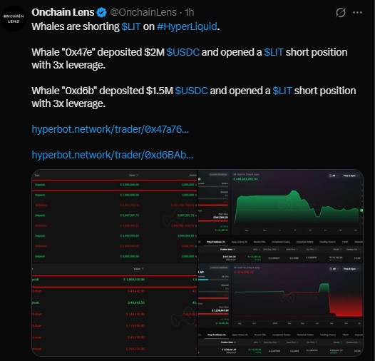 Whales Activity Whales Activity