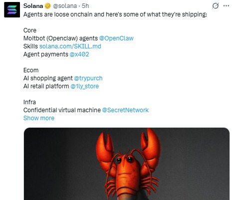 OpenClaw AI Agents boom on solana and base