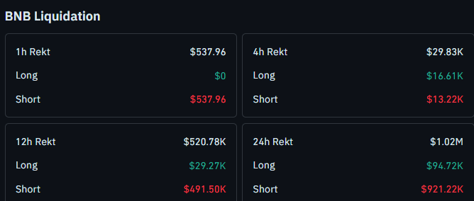 BNB liquidation data latest