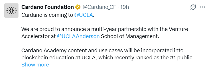 cardano UCLA partnership