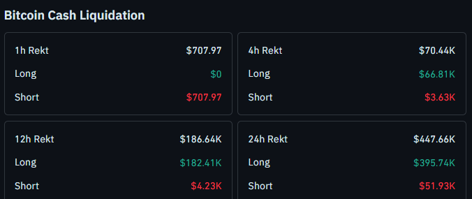 Bitcoin cash liquidation data