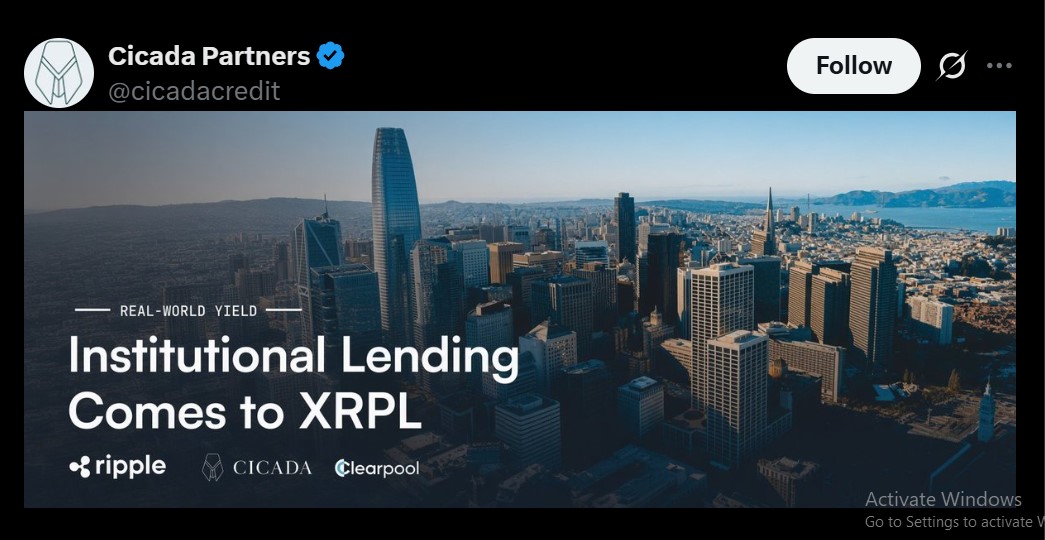 partnership detail on X