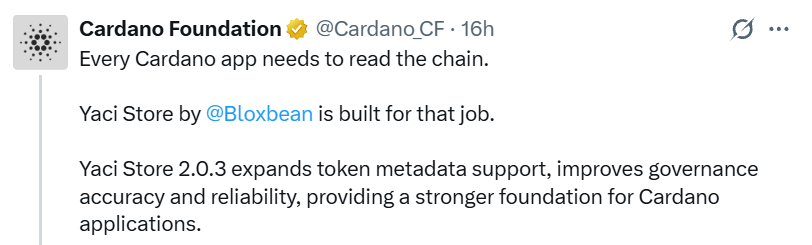 Cardano Yachi Store news