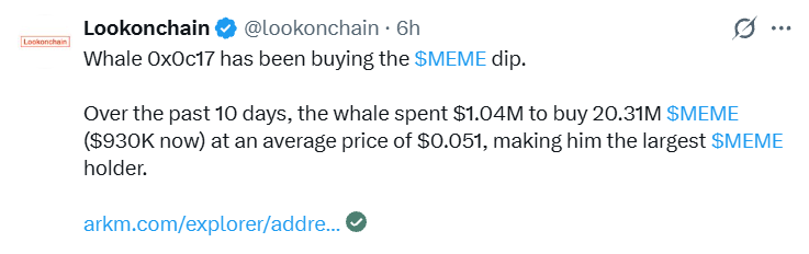 Whale Buying MEME coin Whale Buying MEME coin