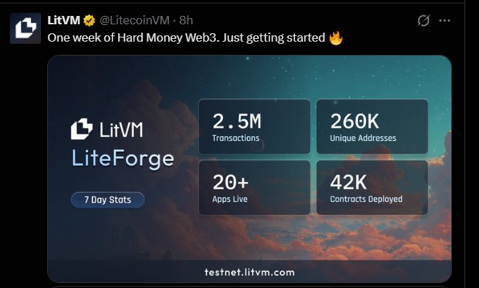 LitVM LiteForge Market Update