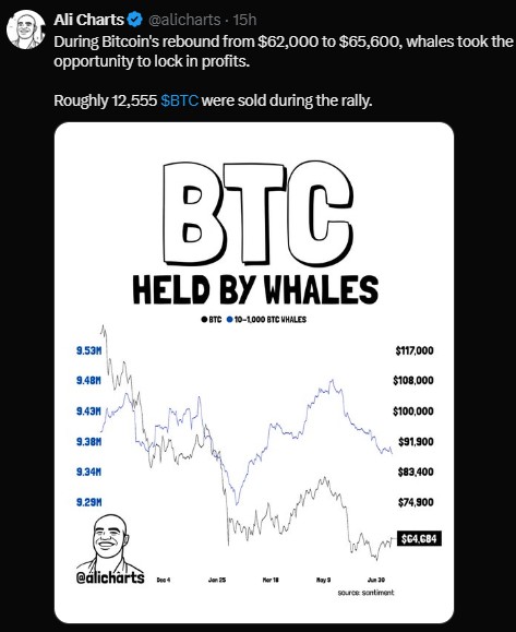 Bitcoin whales selling right now