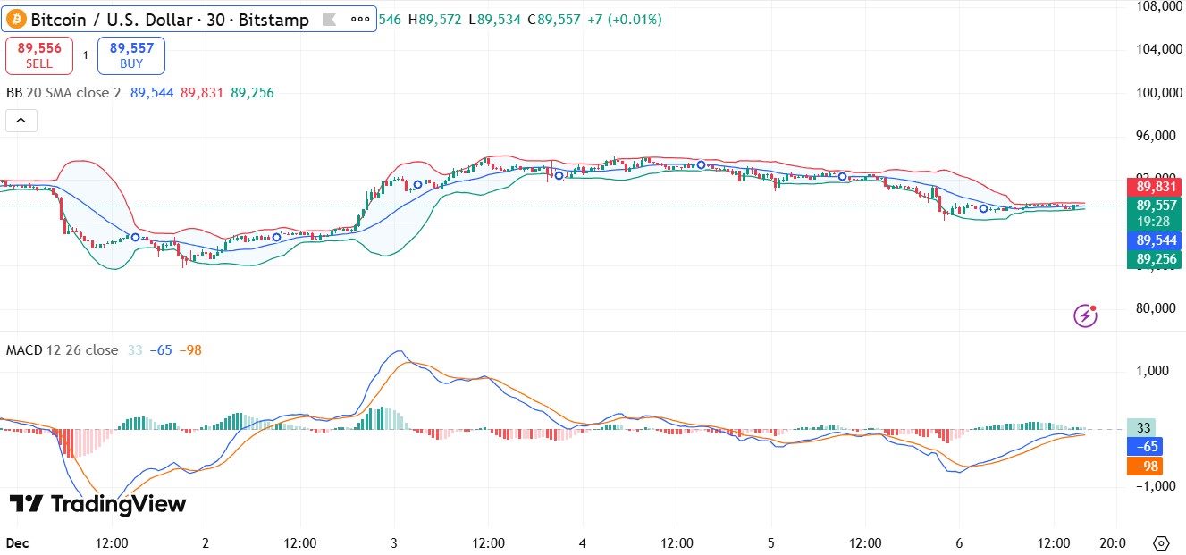 BTC Price Crash TradingView Chart