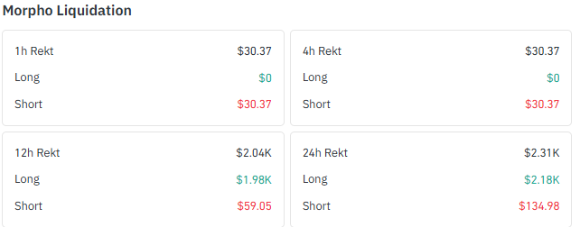 Morpho liquidation data