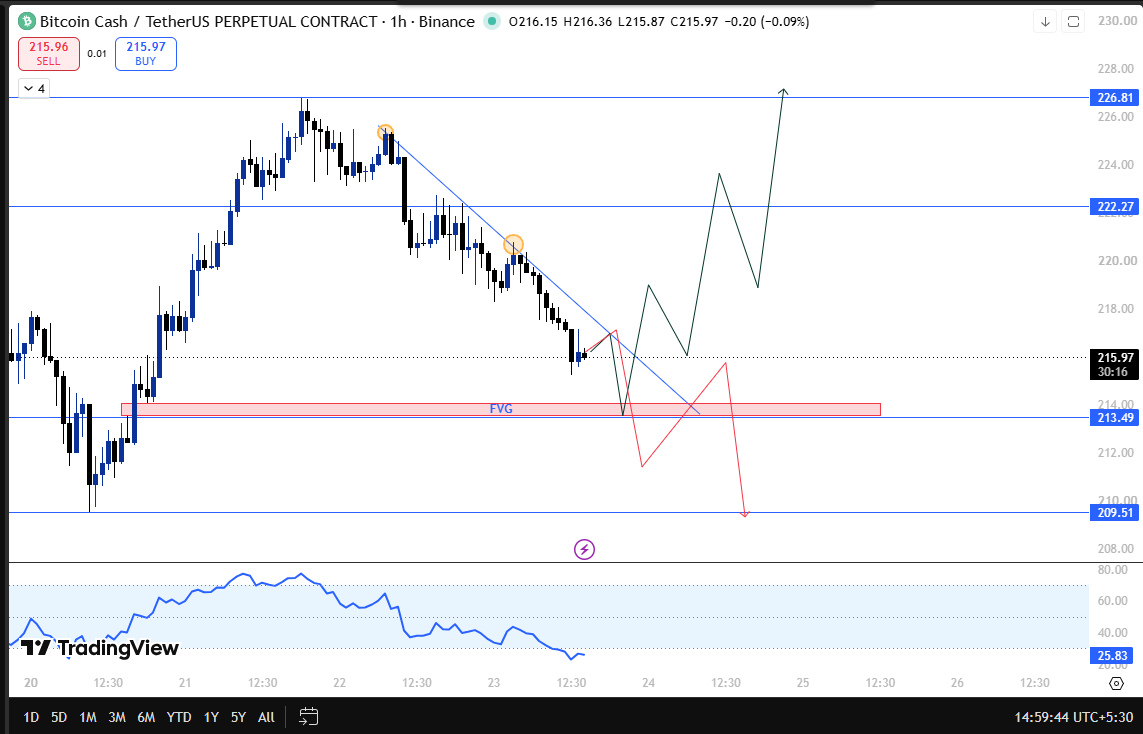 bitcoin cash 1h technical outlook