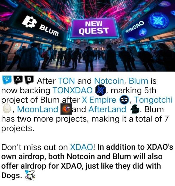 TONXDAO follows Blum TONXDAO follows Blum