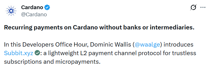 Cardano payment system