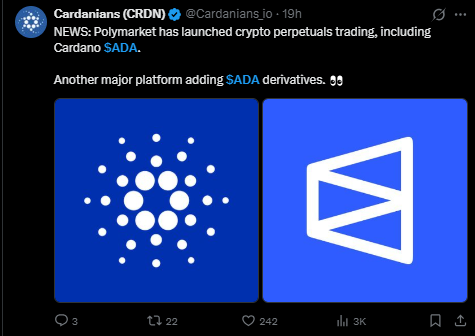 Cardano latest news polymarket update 