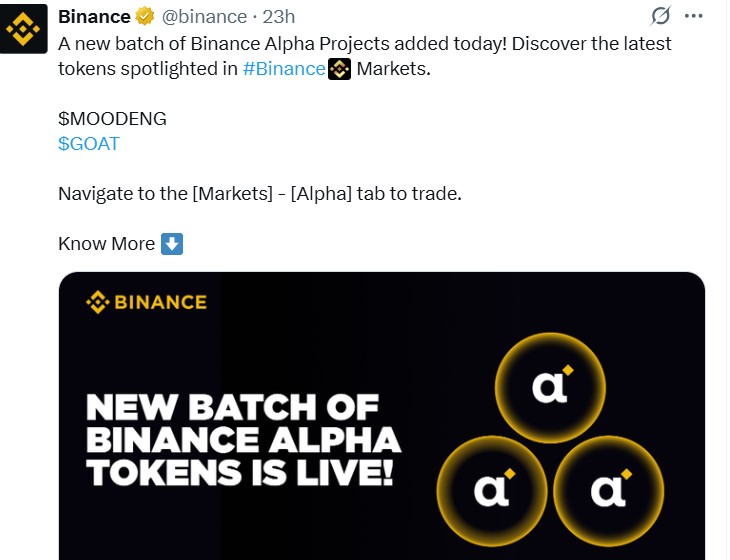 Moodeng Token Binance