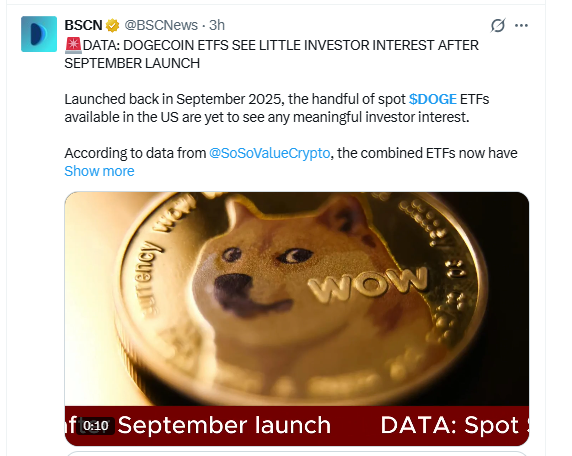 Dogecoin ETF inflow data compared with DOGE market cap