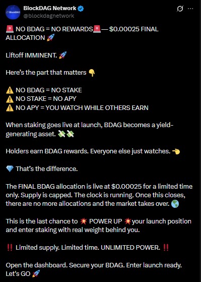 BlockDAG Reward Warning