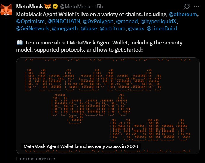 MetaMask Agent Wallet Live Across 12 Blockchain Networks