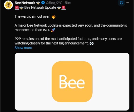 Bee Network P2P Feature