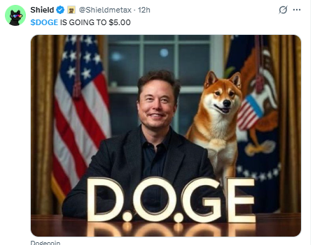 doge market sentiment doge market sentiment