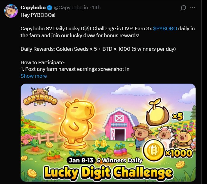 Capybobo Latest Update: Season 2 Daily Lucky Digit Challenge