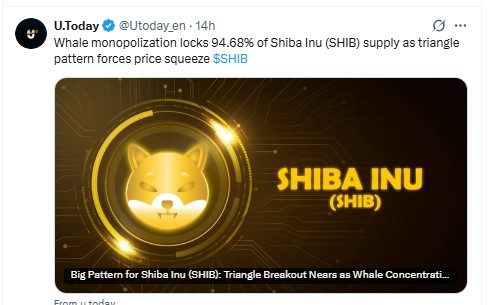 Shiba Inu News Today