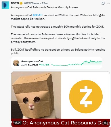 Anonymous Cat Rebounds Despite Monthly Losses