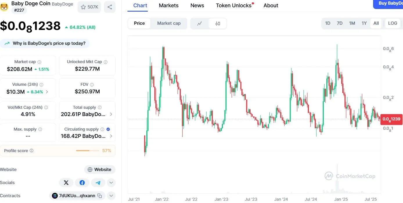 Missionpawsible babydoge coin price