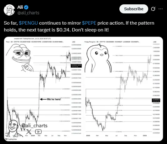 Pengu Pepe Comparsion