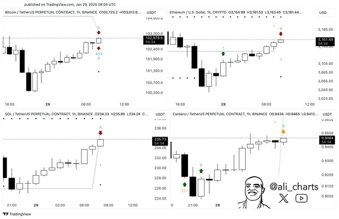 Prominent crypto analyst Ali Martinez Prominent crypto analyst Ali Martinez