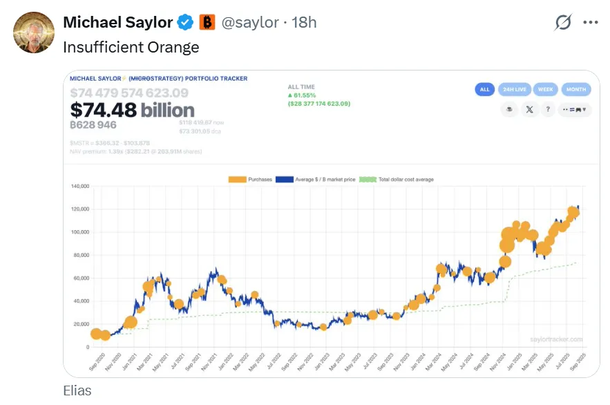 AD 4nXcBEOLA4Jtyj8tzkeEUzpqYQTzM2LAlyp0Gwrl0BEyqaGjVhZeu1A17EyxSehruJH MBnqdmYlevsanGq6JFZTJcKU3730y