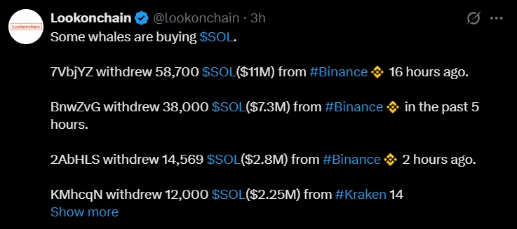Solana Whale Activity: $23M Exited