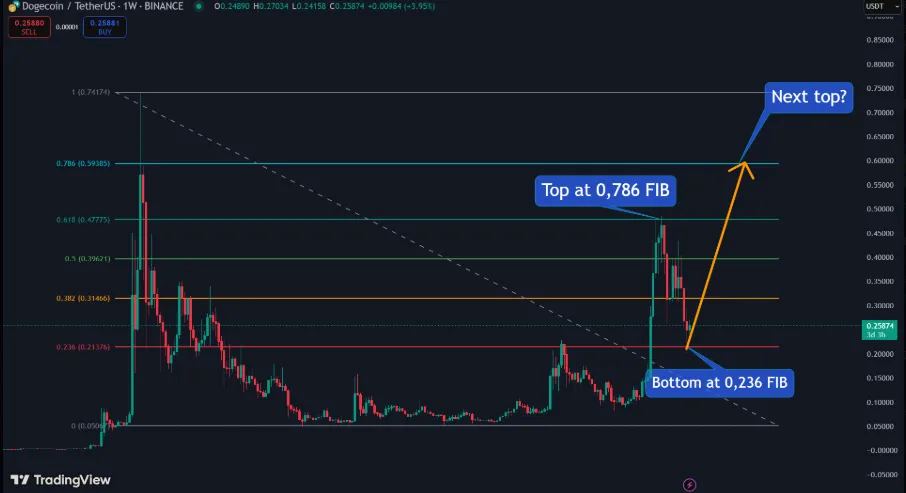 DOGE/USDT 1-Day Chart 