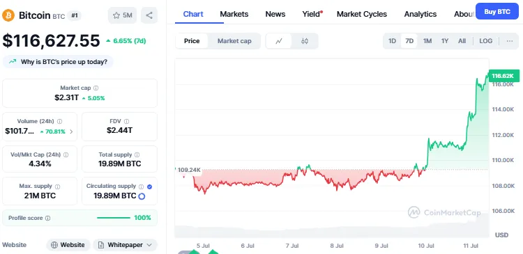 AD 4nXcV9fUcLVo7cCxnFO4f VFZoS b SB5Df6s4NzUUf30 ExAzErIWR5UMuTE96jx2NCqLtBSqU8TNtge2hWaNzqy3qg8MTGZ
