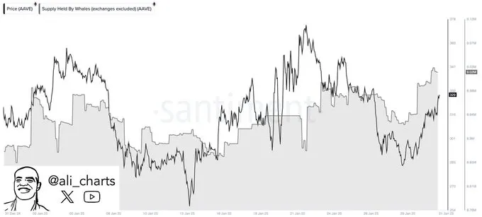 Aave whale accumulation