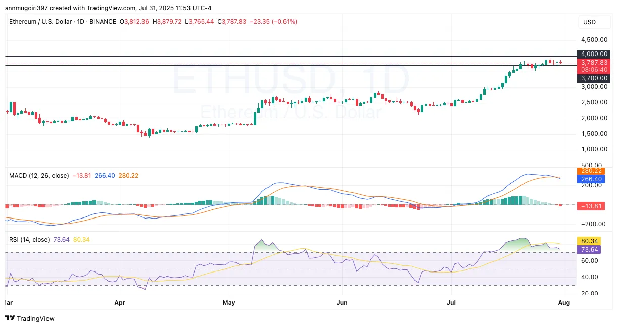 AD 4nXccN4K6tmAG9hrlV1tpQ5nQHJkQv bD7ae IiRiBIn5RdnFTaaoo8s6 p0byFwFTf7ojJa22o7iVFXZ6G0zrysTxwn8eDop