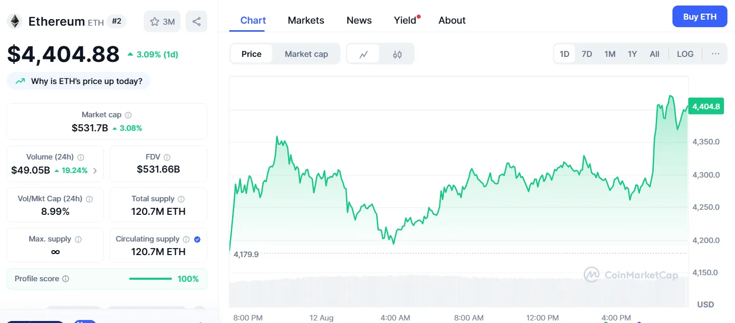 AD 4nXcfYFZR9GgCKIEzvd8WYq8x08vbfu0LxHHXmU2va0Pm6 ThmQvDNo4ZkrPHw TH32mf5AyxTaMroh172 8dm6OjB9GFeNIY