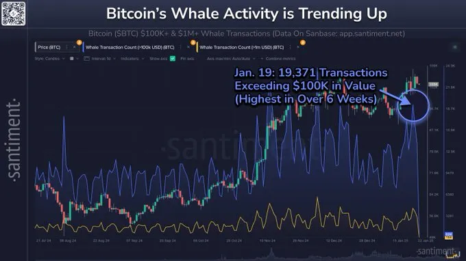 Bitcoin whales Activity