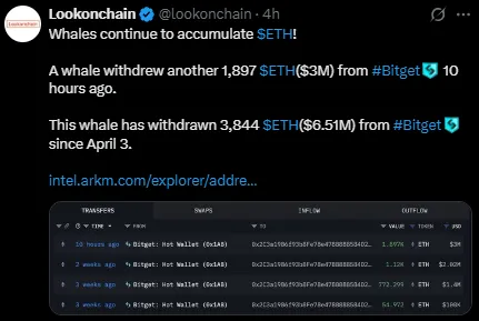 ETH whale accumulation ETH whale accumulation