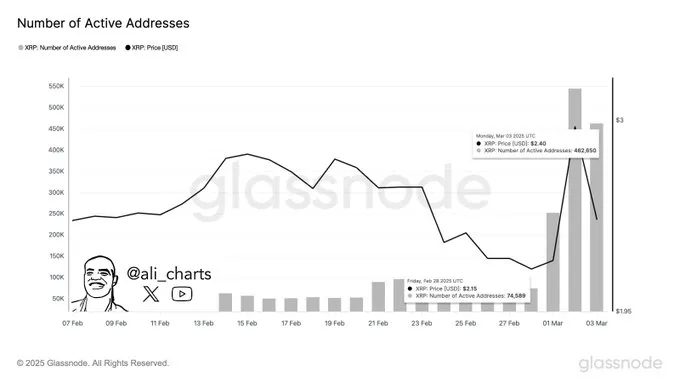 XRP Network Activity