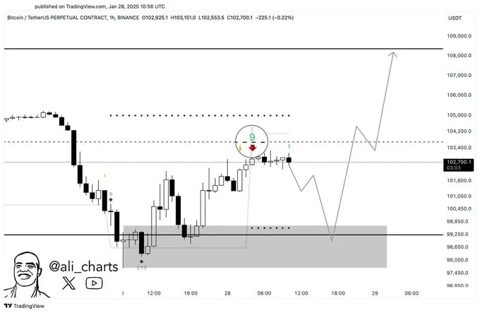 TD Sequential Indicator Signals Potential Sell