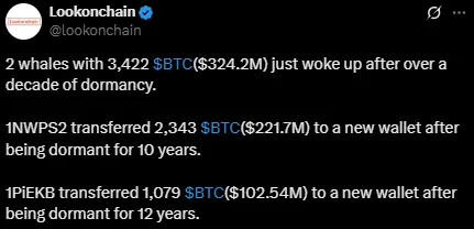 Whale Bitcoin transfer Whale Bitcoin transfer