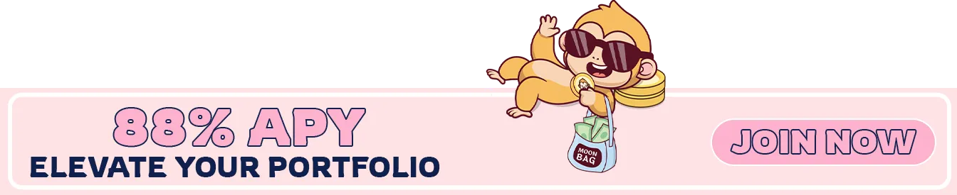 ELEVATE YOUR PORTFPLIO