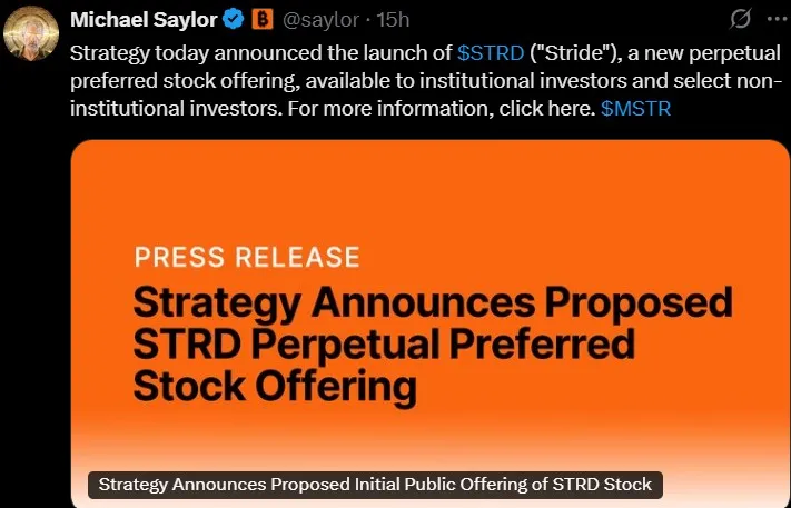 Michael Saylor Bitcoin Holding