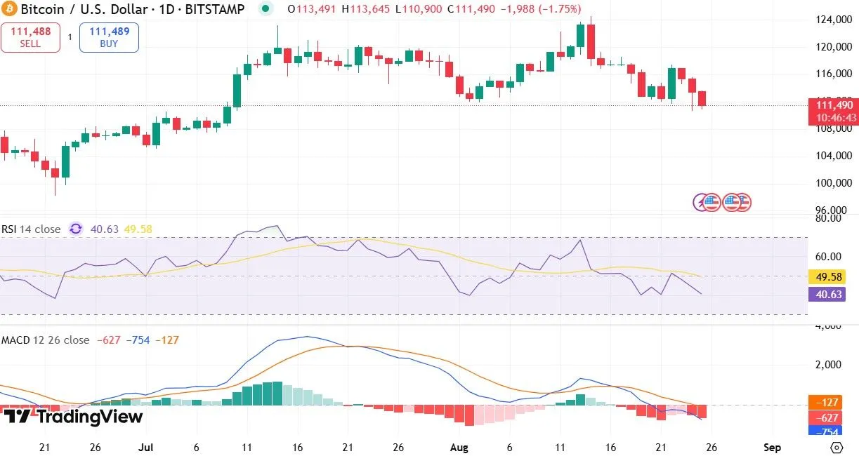 Bitcoin Price Correction Analysis