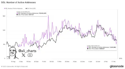 Whale Sell-Off Whale Sell-Off
