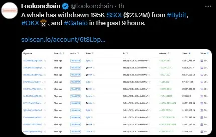 Solana Whale Transfer