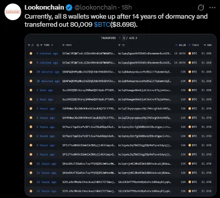 Dormant Bitcoin Wallet Move